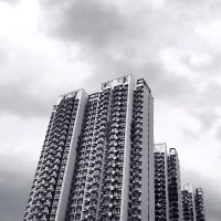 孙林林