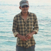 Sany Ali