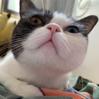 李江宁