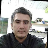 Bruno Henrique luisi silva