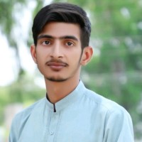 Muhammad Hamza Aslam