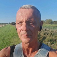 Steve Tingle