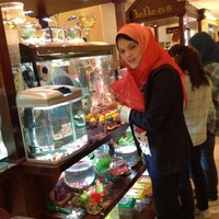 Alaa Shehab