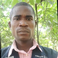 Temidayo Odusote