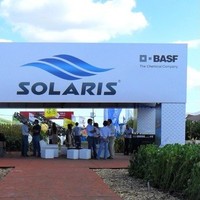 Ignacio Zorrón Carcavallo