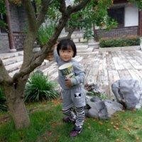 余丽丽