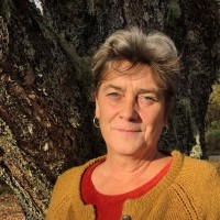 Petra Reijers