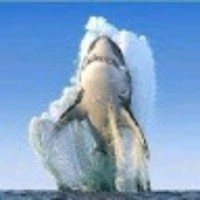 حازم الجعفري