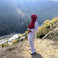 Niha Iqbal