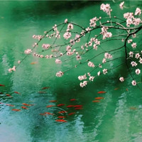 Anna Wen