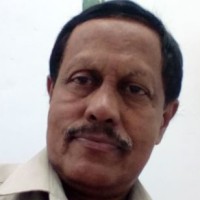 N SHRIPATHI BHAT