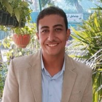 Micheal Fawzy