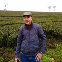 Nghia Duc