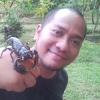 Abdi Budimulya