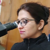 Vandana Sahonta