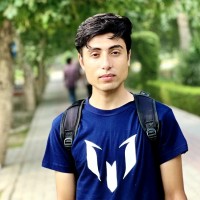 Mohsin Haider Sultan