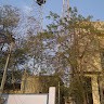 Pn Gurjar