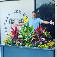 Mark Haney, Cpa