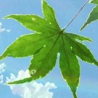 许育骋