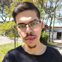 Paulo Rodrigo Galves Amaral