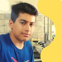 Amir Hosein Sardari