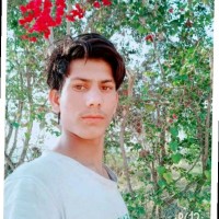 Mohd Gulfam