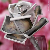 Brenda Montgomery