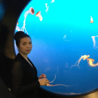 Mattie(Haiyan ) Zhao