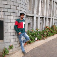 Rakesh Raut