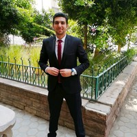 Wael Abdelhameed