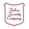 Falcon Security
