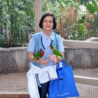 Ann Couto