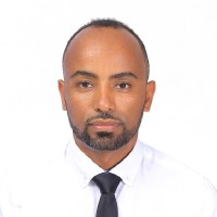 Alem H Bezu