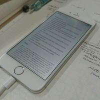 O2 Palm