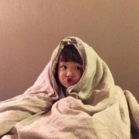 翟文康