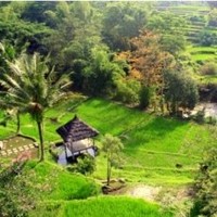 Hotel Indonesia Padi City Resort