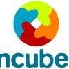 Incubex Group