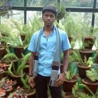Susee G