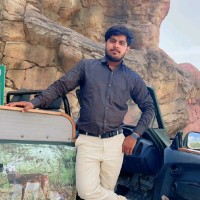 Ankit Pachauri
