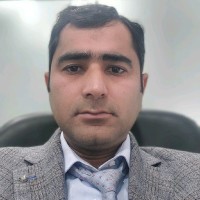 Amir Hussain