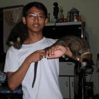 mohammad audah ansori