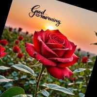 Subham Yadav