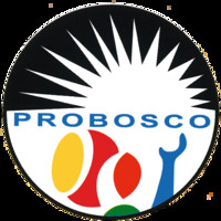Probosco Tenerife