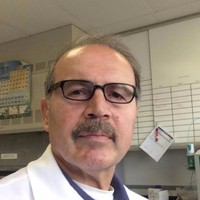 Saeed Shonjani