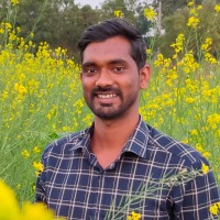 Nikhil Avusula
