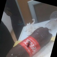 Adelino Bernardo Adelino