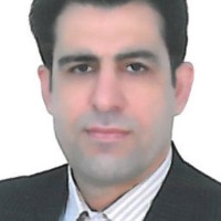 mohammadreza valipour