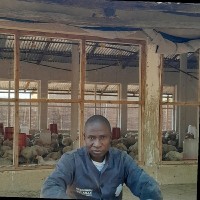 Dondo Kante
