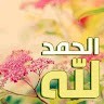 adel elsayed