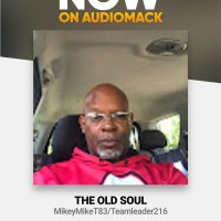 Michael L Taylor-Fullilove